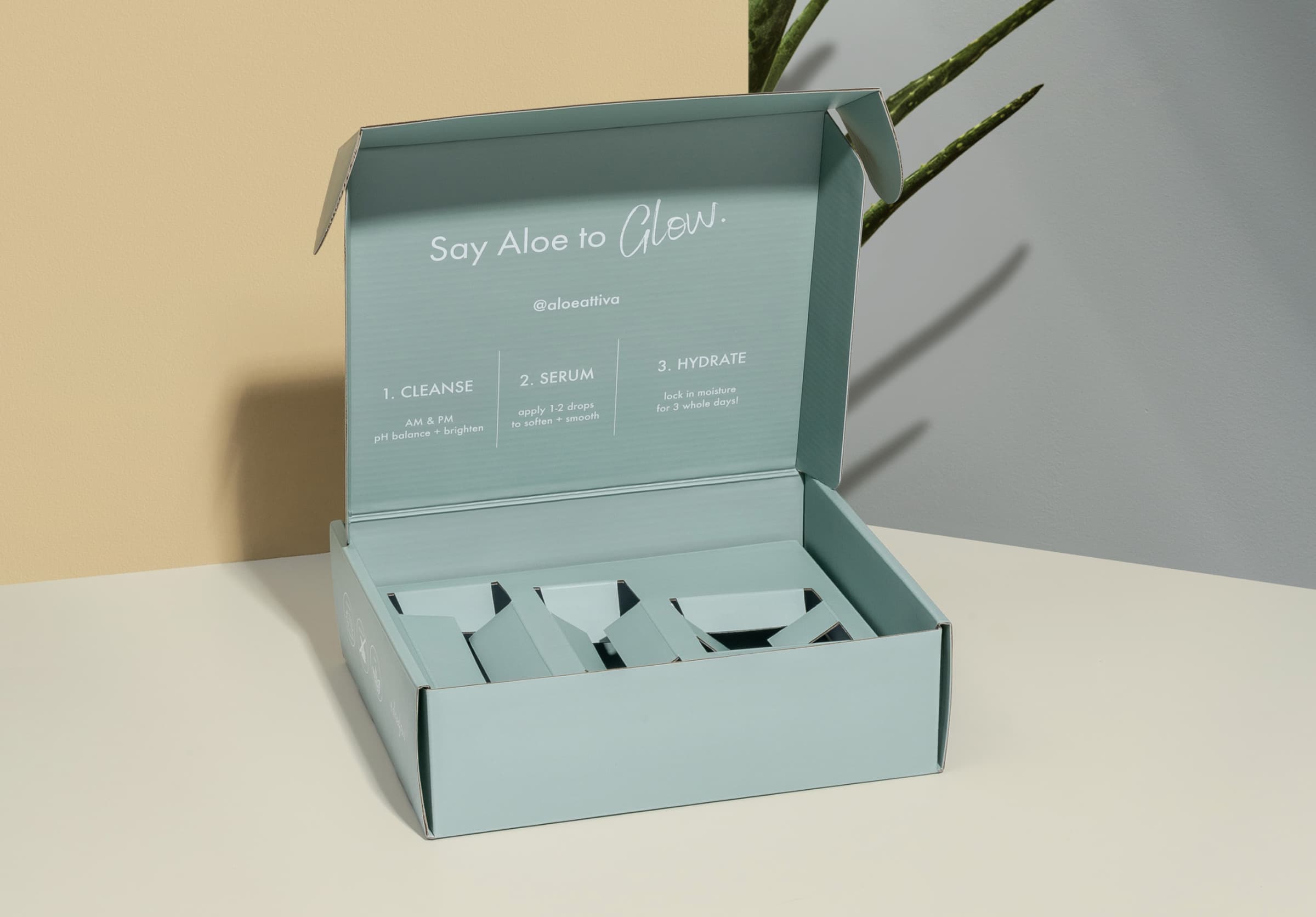 green packaging box design