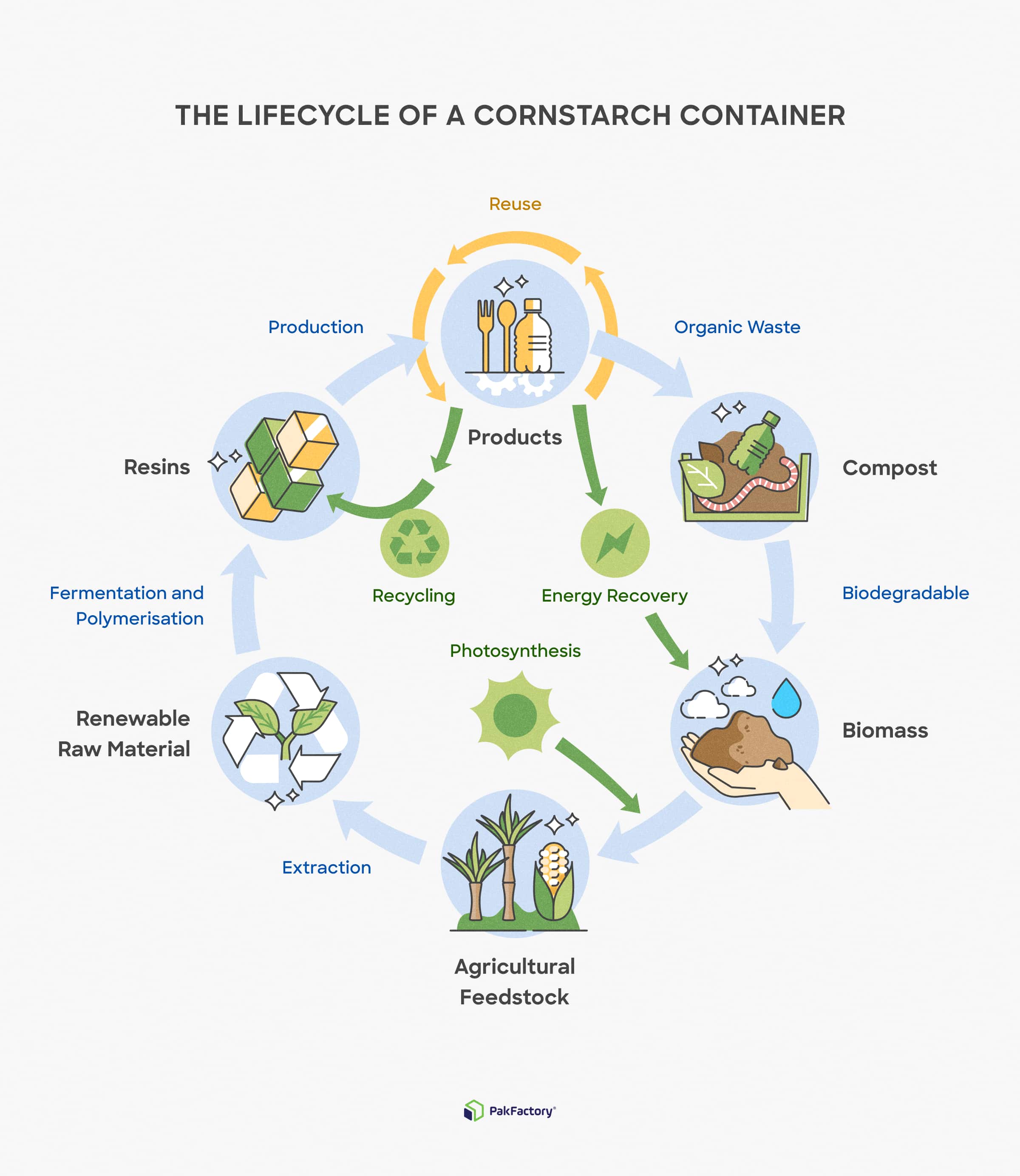 Diagram of the life cycle of bioplastic cornstarch packaging container.