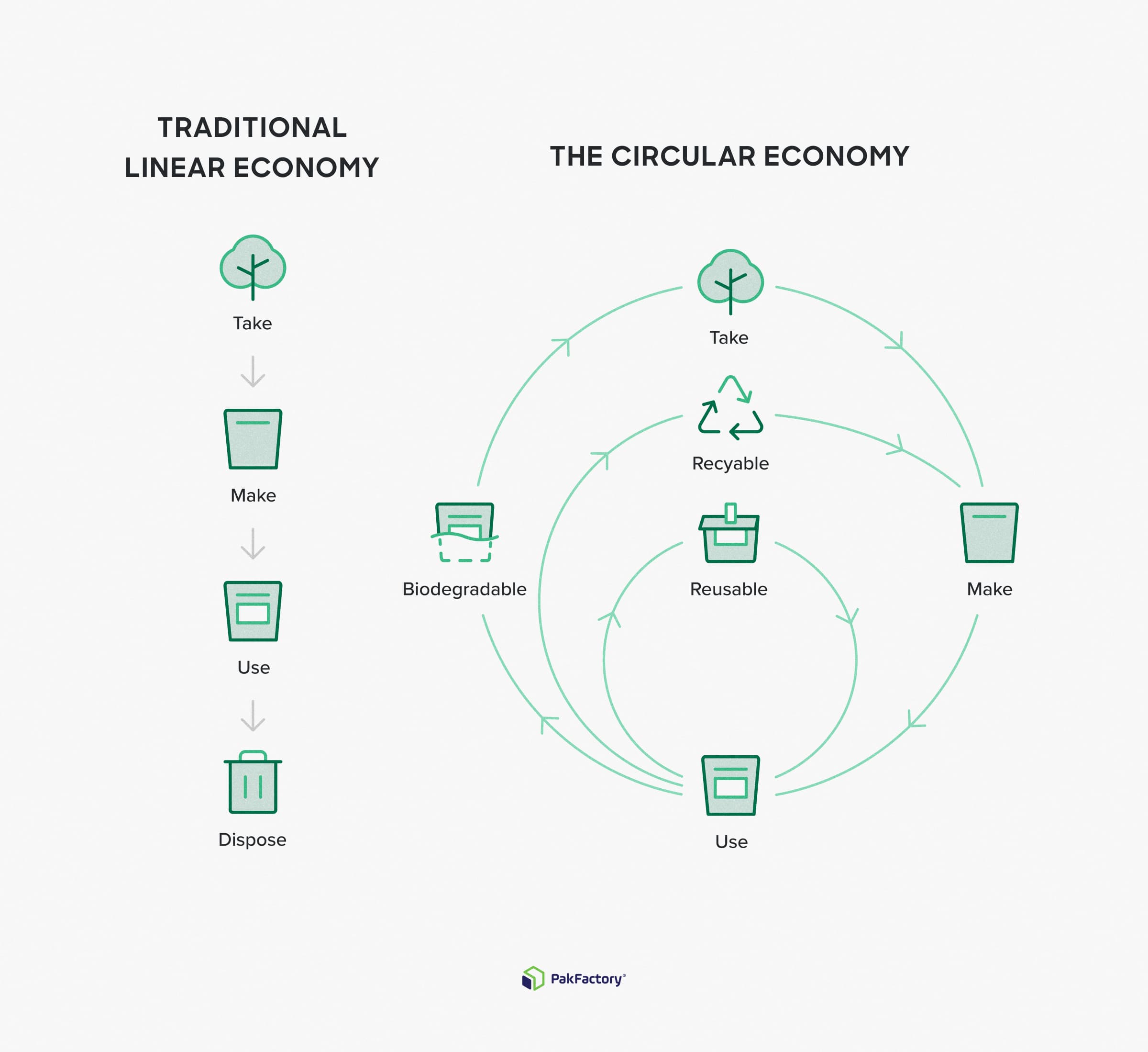the circular vs traditional linear economy in packaging
